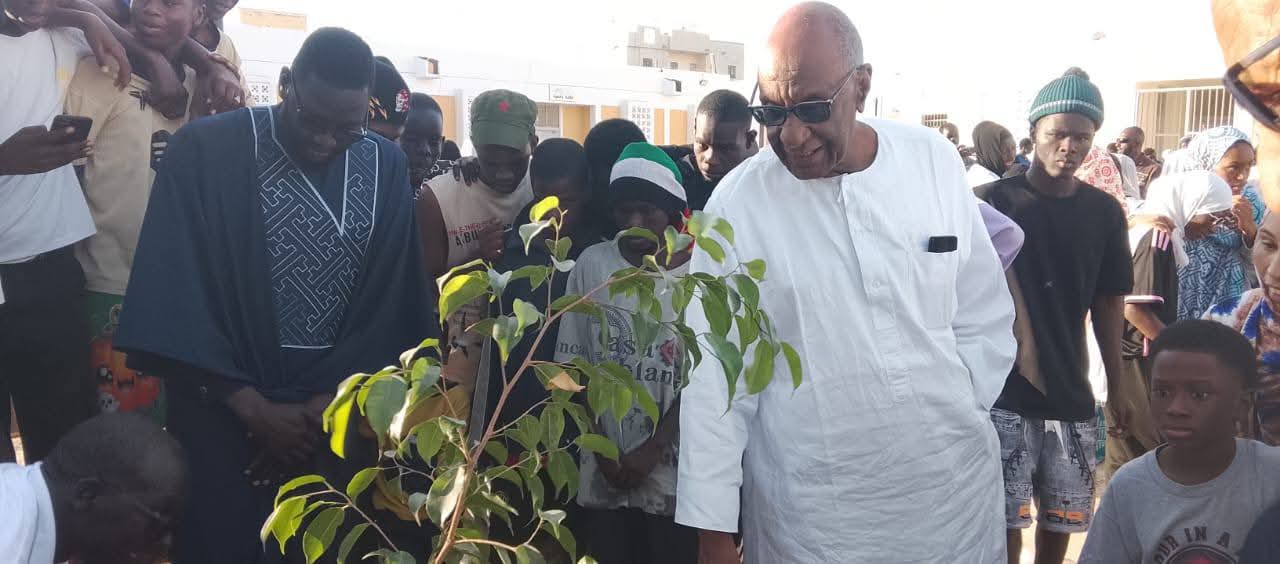 Collège Sebkha 1 — mise en terre d'une jeune plante