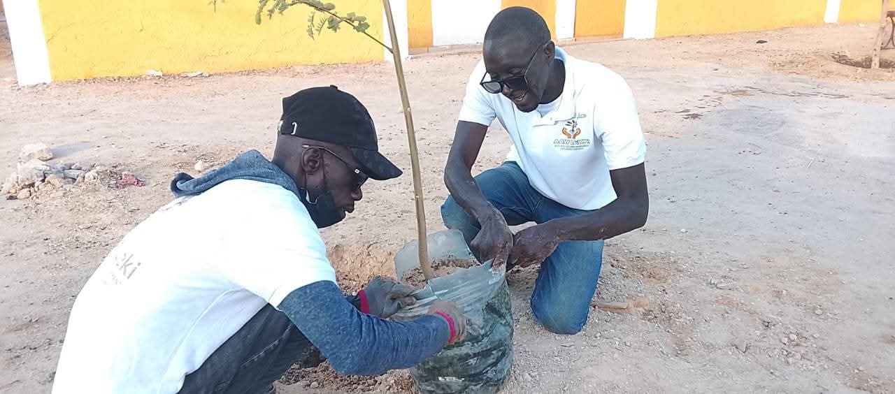 Collège Sebkha 1 — bénévoles Aaw Leki en pleine plantation